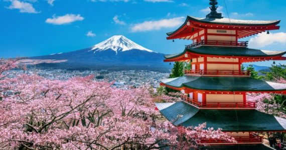 How to vacation in japan